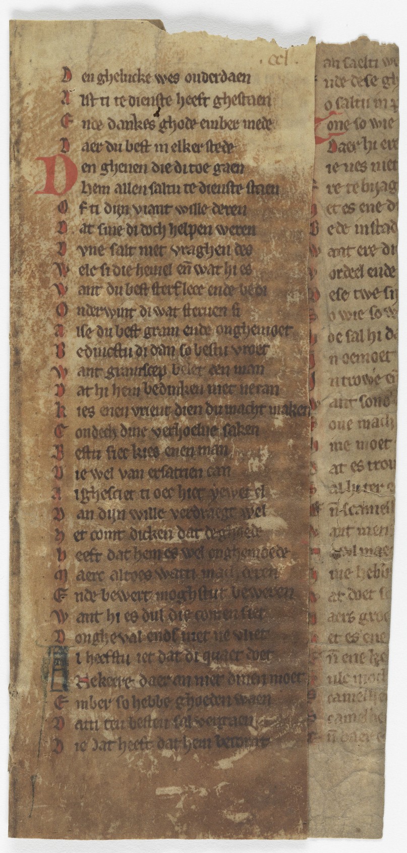 Fol. 250r ('CCL', fragment 25)