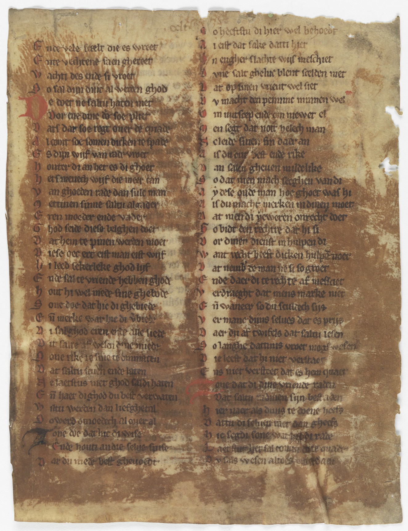 Fol. 251r ('CCLI', fragment 26)