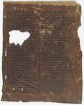 Fol. 248r ('CCXVIII', fragment 27)