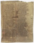 Fol. 254r ('CCLIIII', fragment 28)
