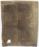 Fol. 257r ('CCLVII', fragment 31)