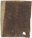 Fol. 257v ('CCLVII', fragment 31)