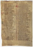 Fol. 224r ('CCXXIIII', fragment 3)