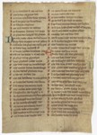 Fol. 224v ('CCXXIIII', fragment 3)