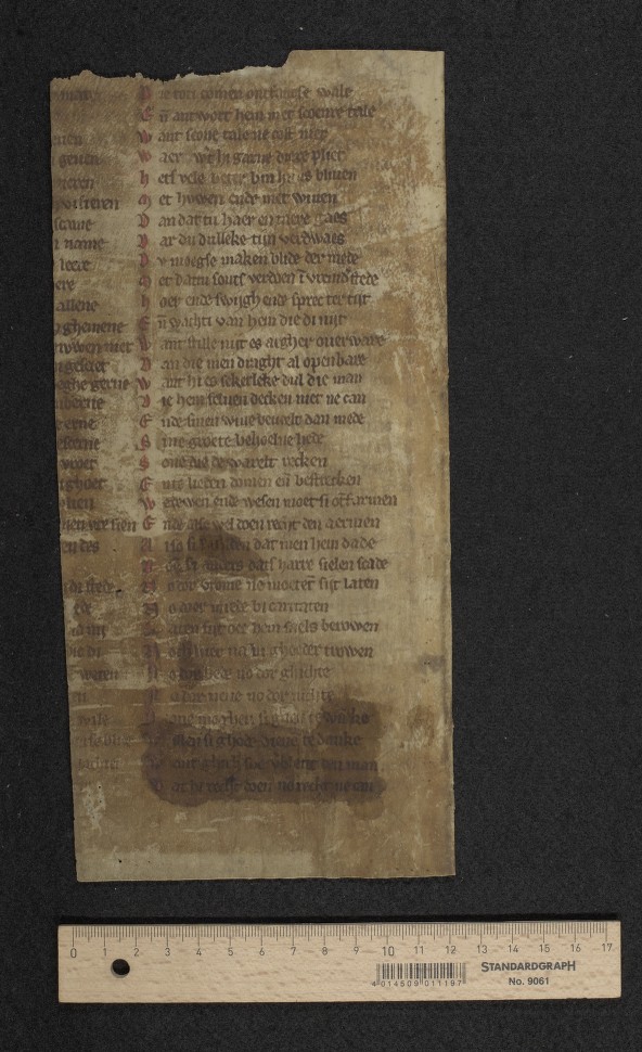 Fol. [255]v (fragment 25)