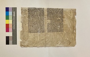 recto