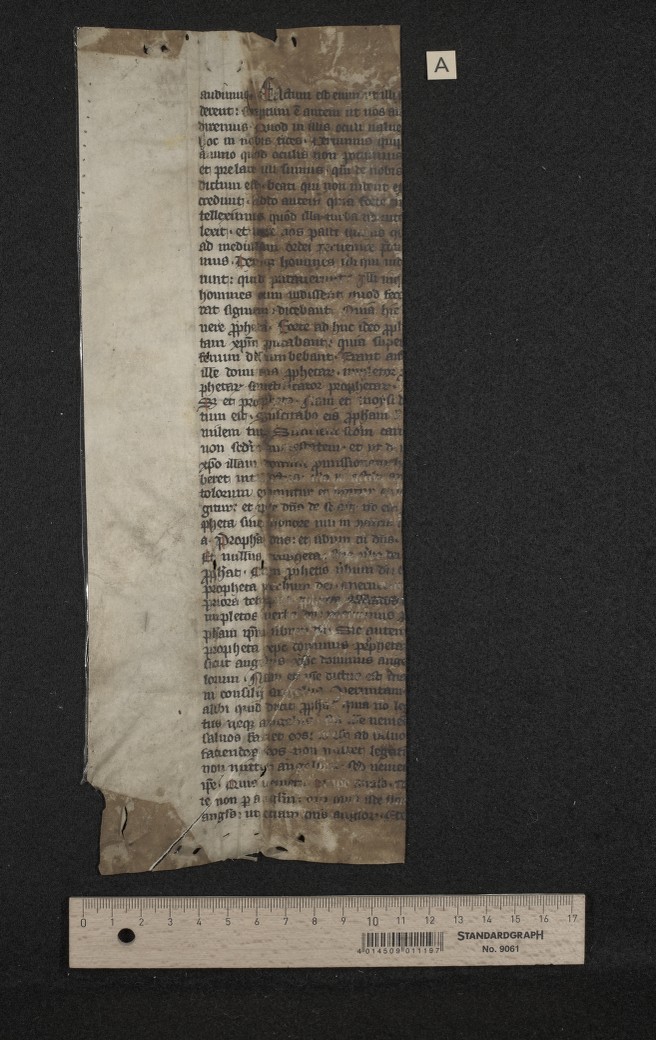 Fragm. 84 a verso