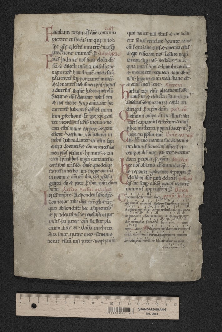 fol. 19v