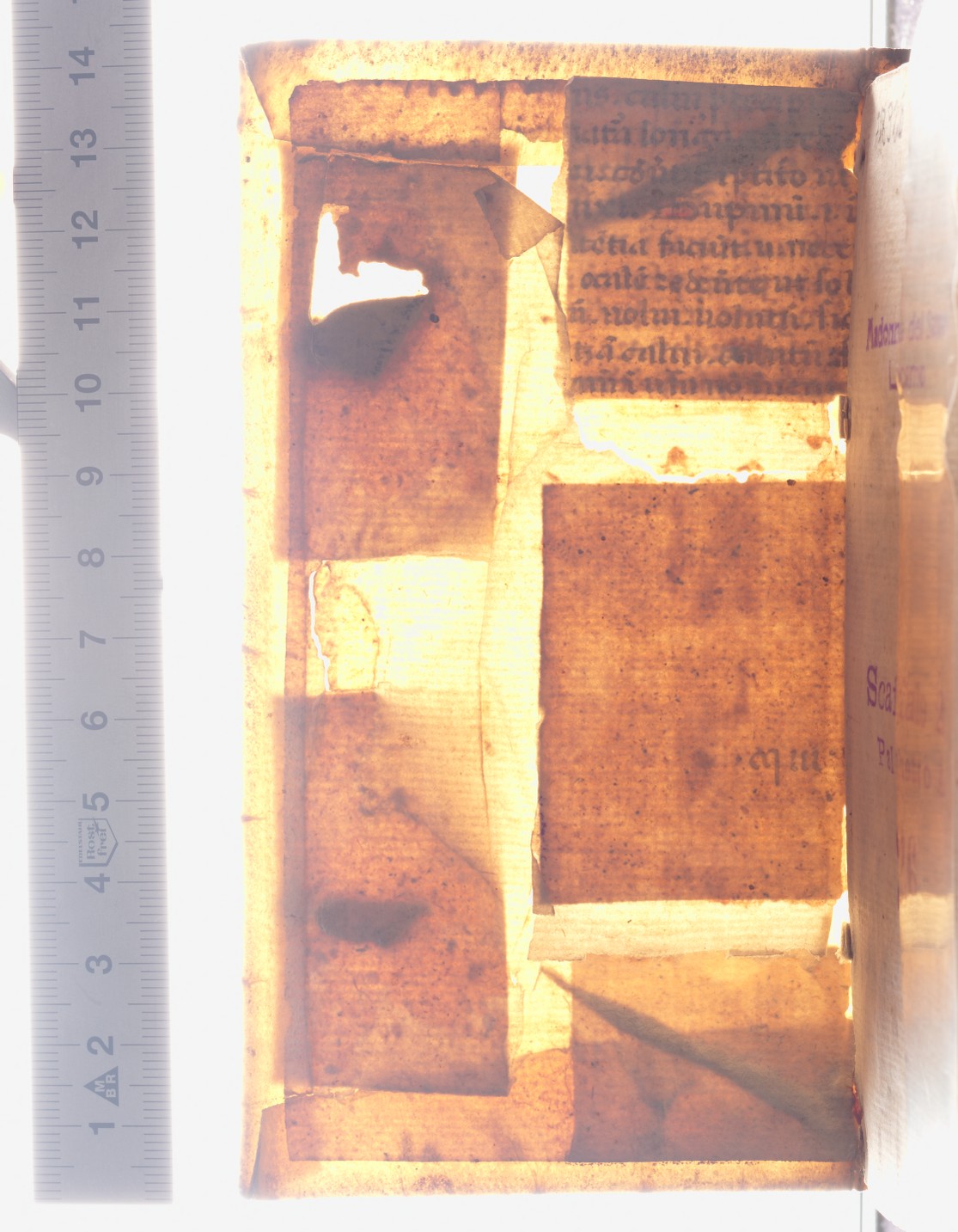 mds_02Aa21_coperta_anteriore