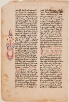 recto