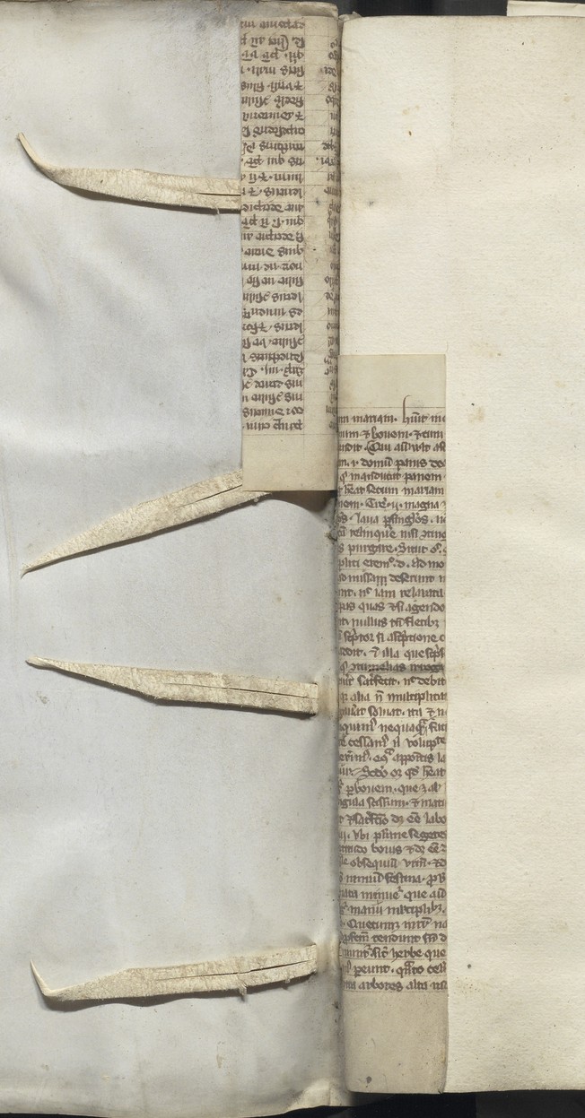 Foreest_79_005_inv_39_0134