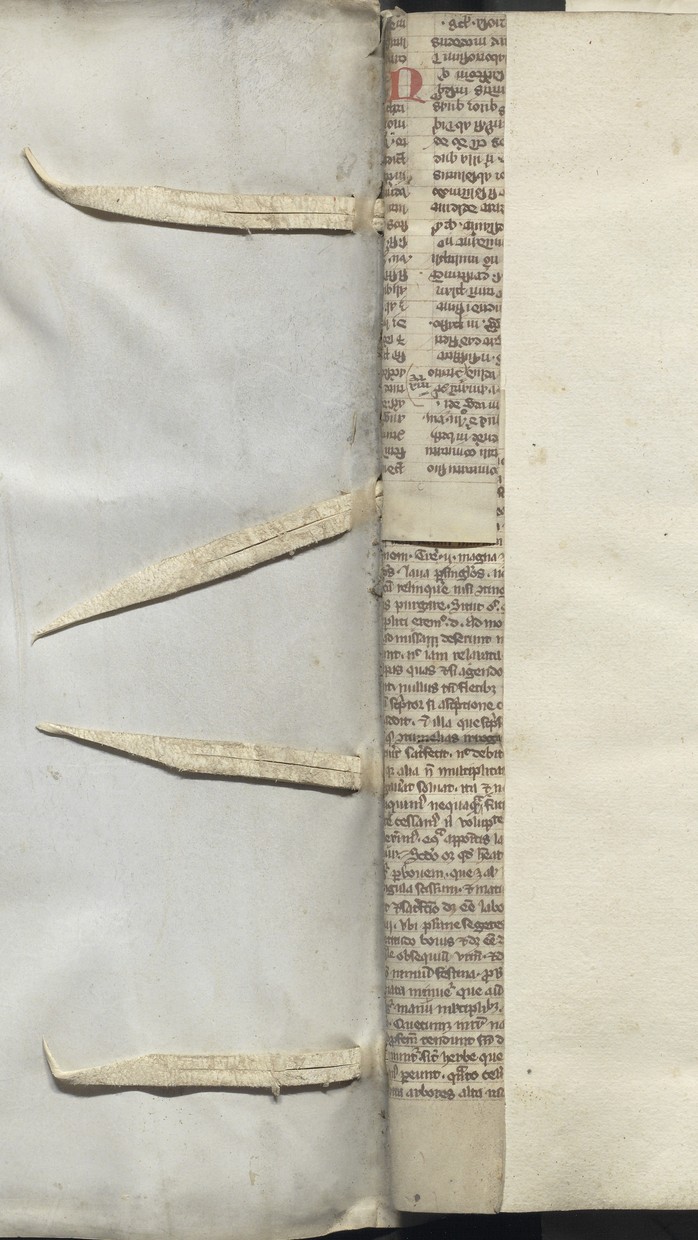 Foreest_79_005_inv_39_0135