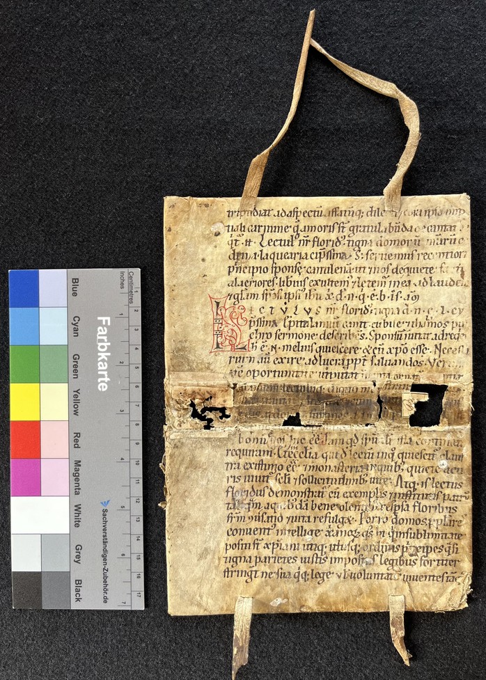 Alba_Iulia_Fragm_A_29