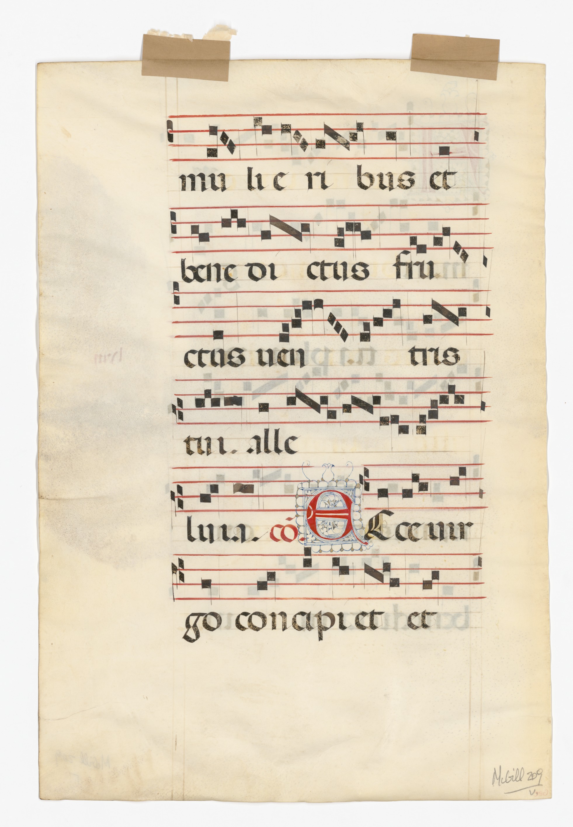 rbsc_ms_medieval_209_02