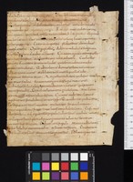 Fragment 1 dorse