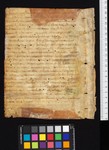 Fragment 2 dorse