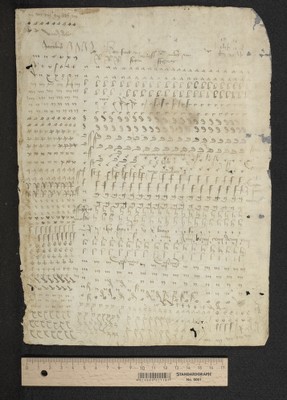 fragm. 29 verso