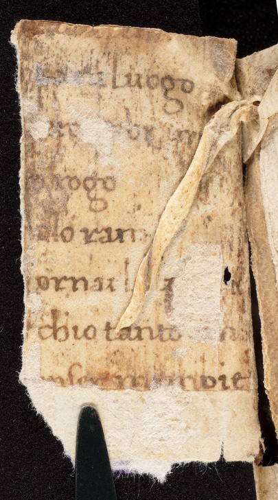 mds_62Aa10_F1_content