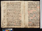 Fragment 1 dorse