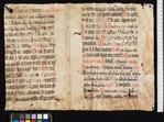 Fragment 2 dorse