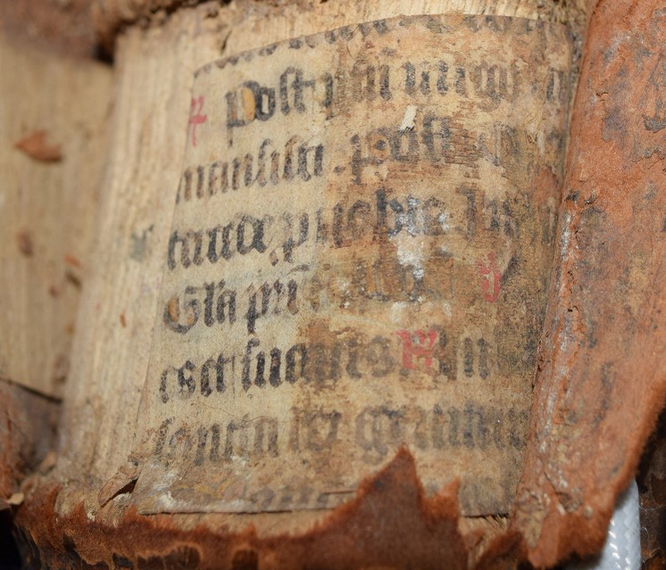 Fragment 2 (middle spine)