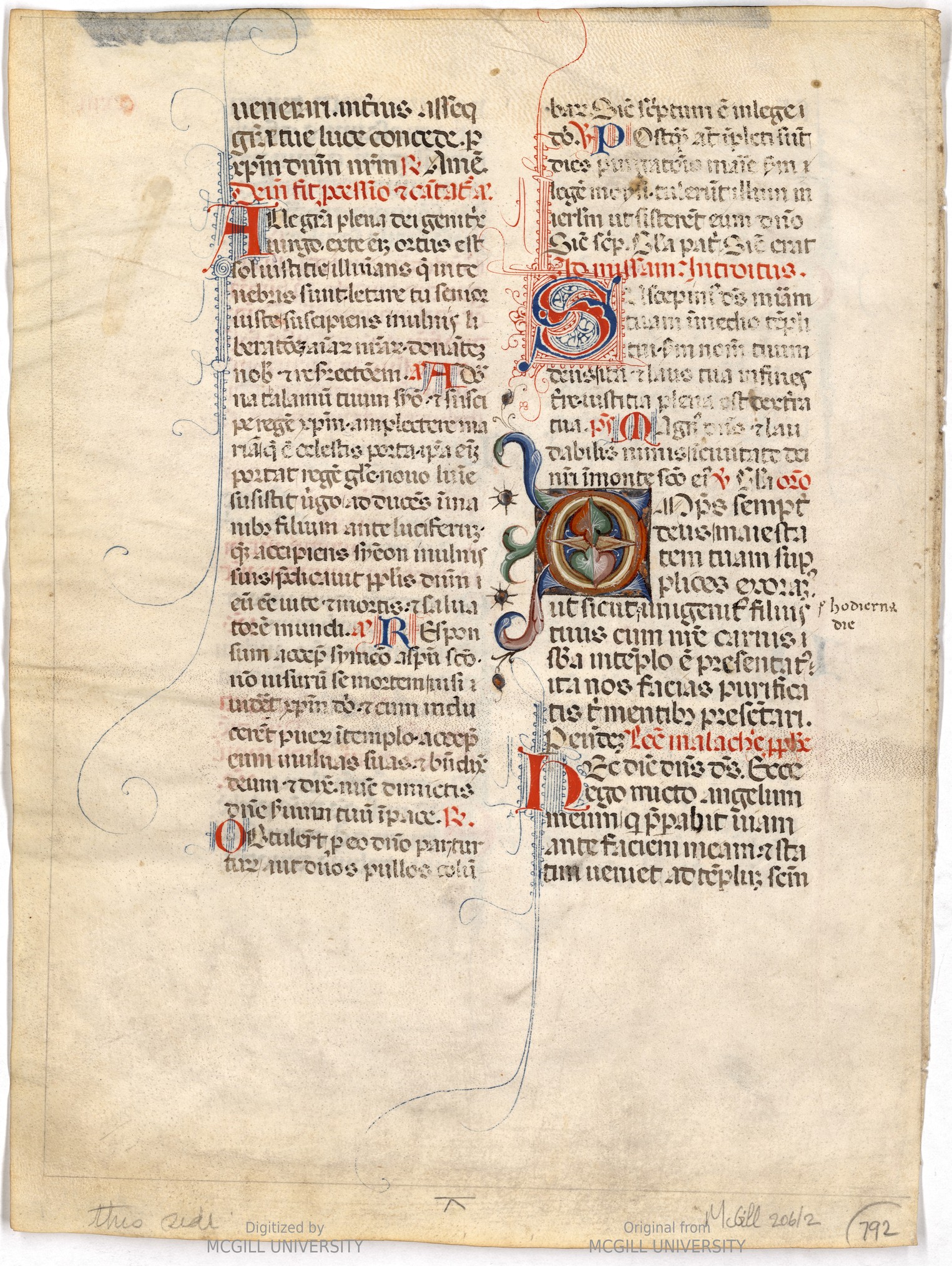 rbsc_ms_medieval_206_f213v