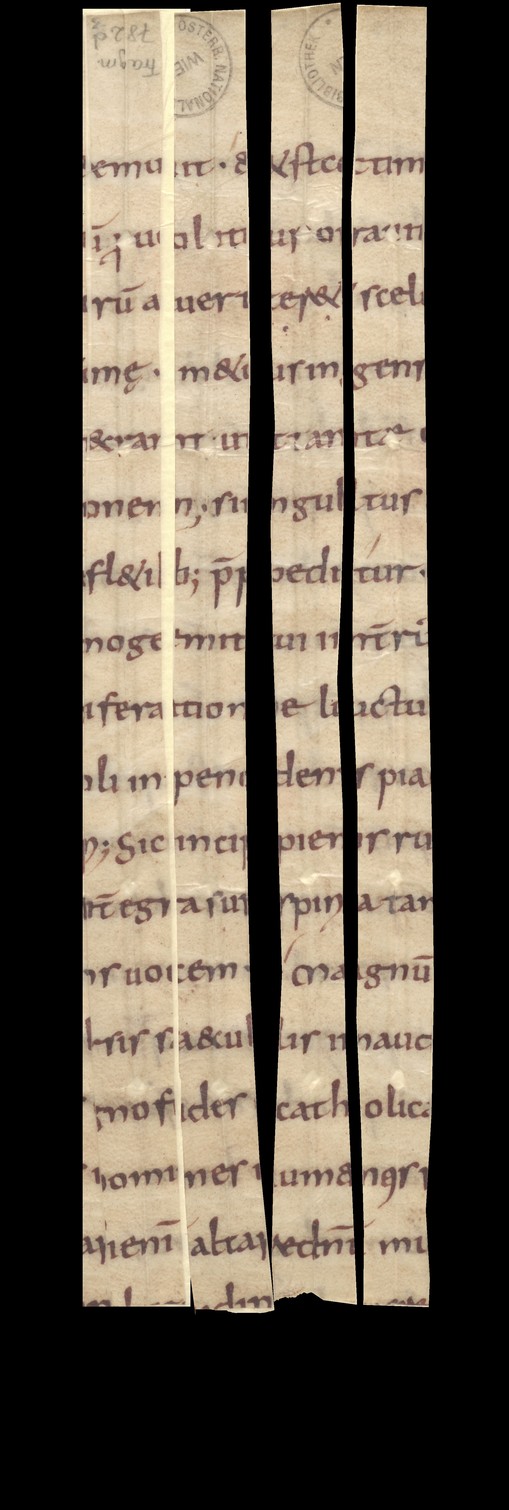 Fragm782d_3_verso_reconstructed