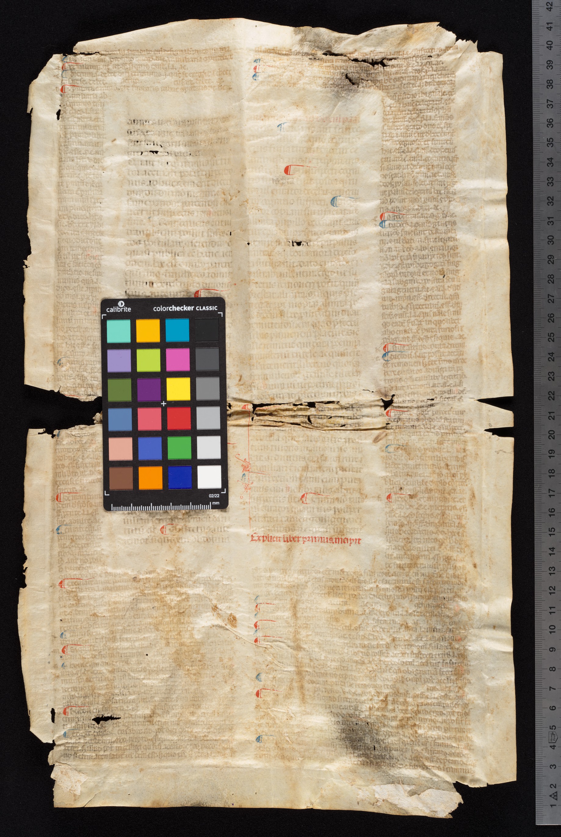 amds_01_03a1_ProfilS