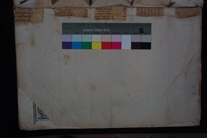 spine strips (end side)