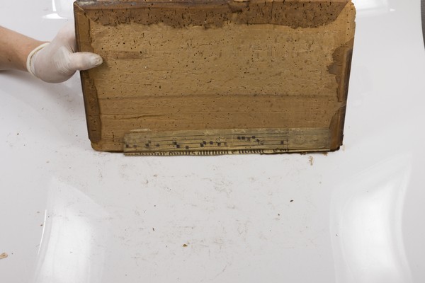 Bottom Board Inside with fragment