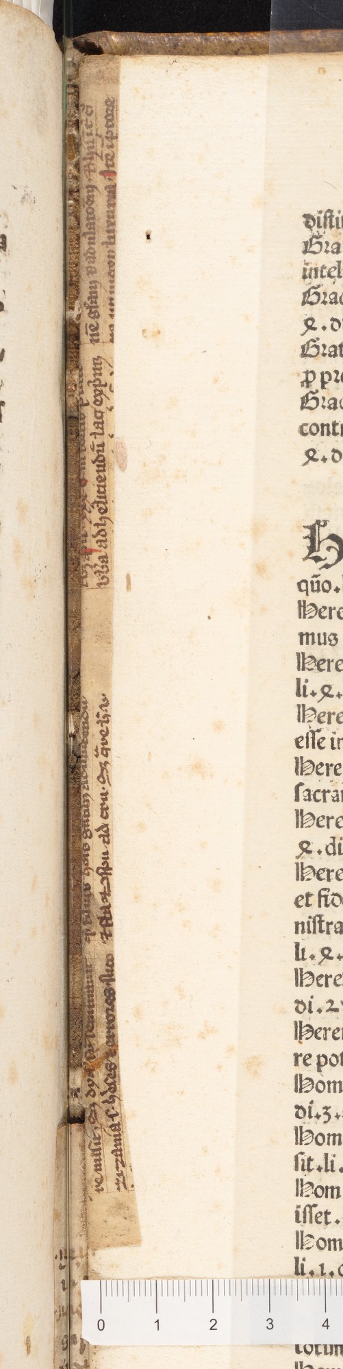 Brachetta fascicolo 35a_F5
