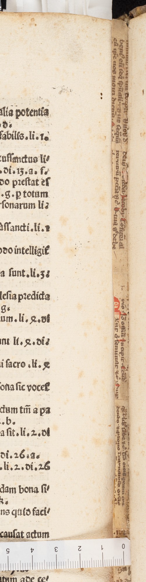 Brachetta fascicolo 35b_F5