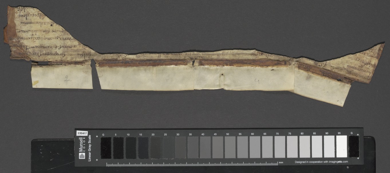 lower pastedown recto