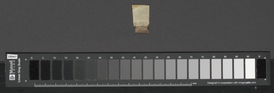 tx35170557_00376_00181vextra02r_tiff