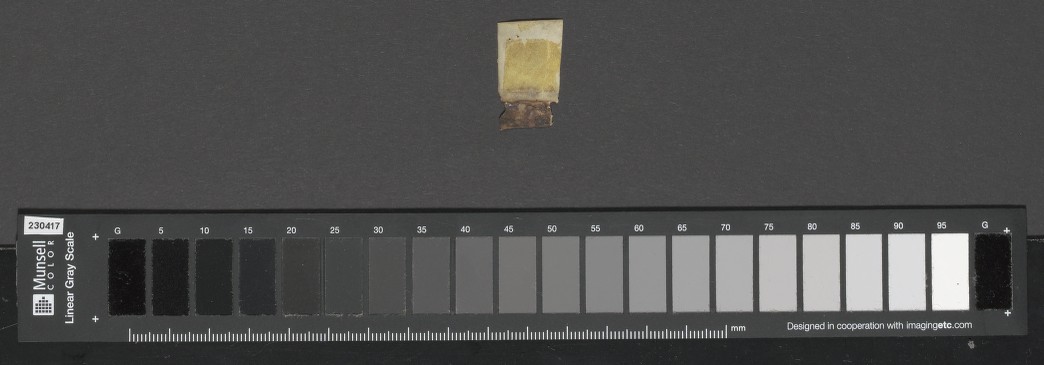 tx35170557_00377_00181vextra02v_tiff