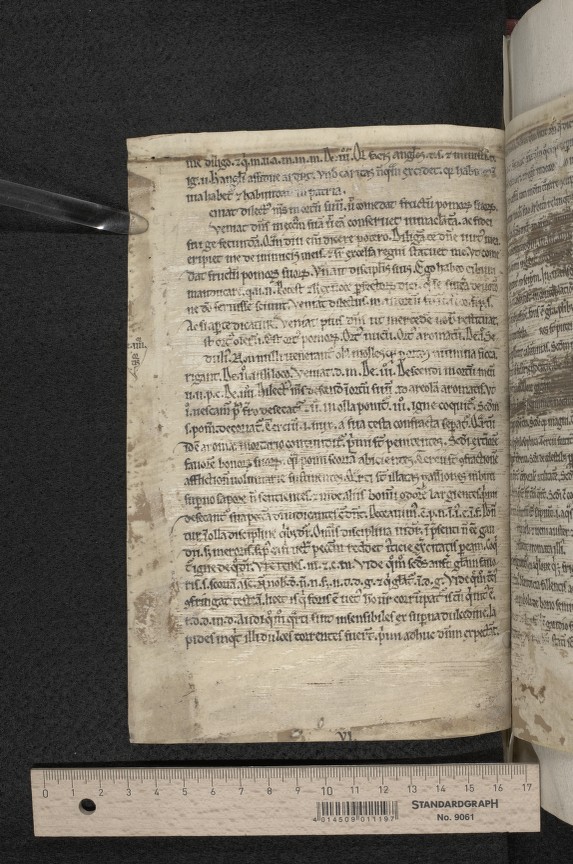 fol. 48v