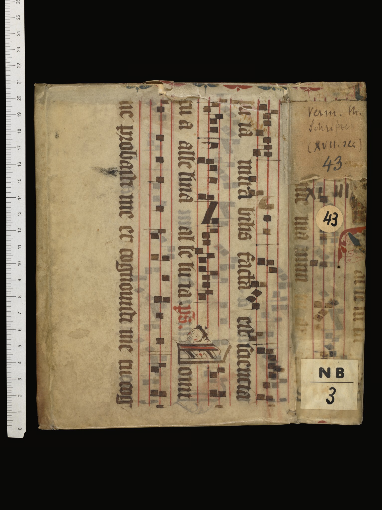 Spine and back cover