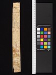 spine cover 1