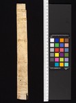 spine cover 2