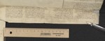 Lower pastedown, first bifolium, recto