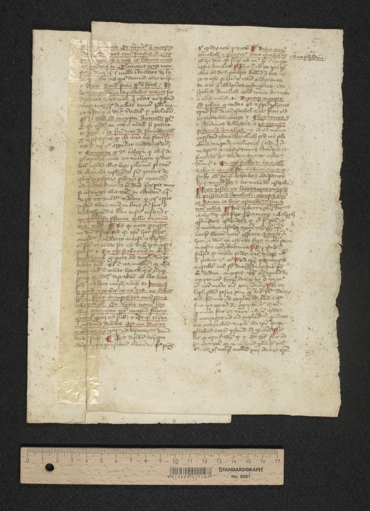 bifolium 3, fol. [1]r