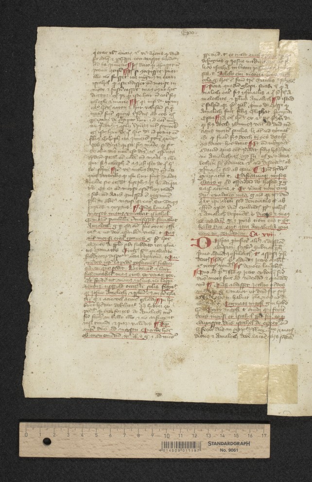bifolium 3, fol. [1]v