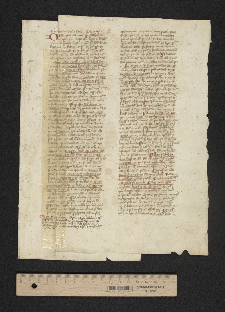 bifolium 5, fol. [1]r