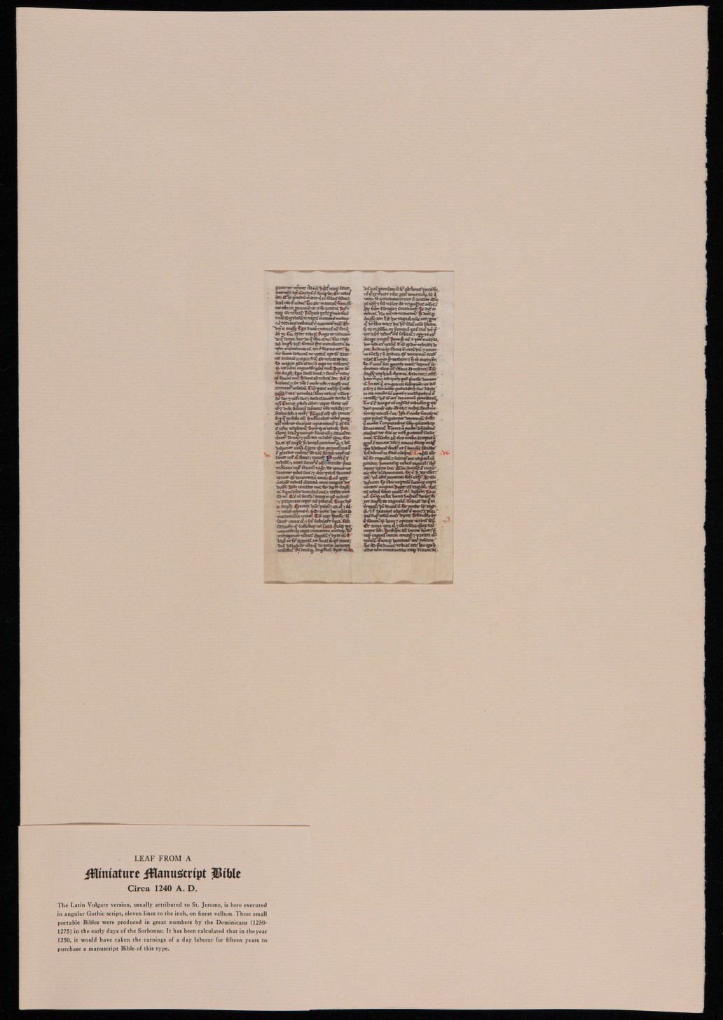 recto with mount and label