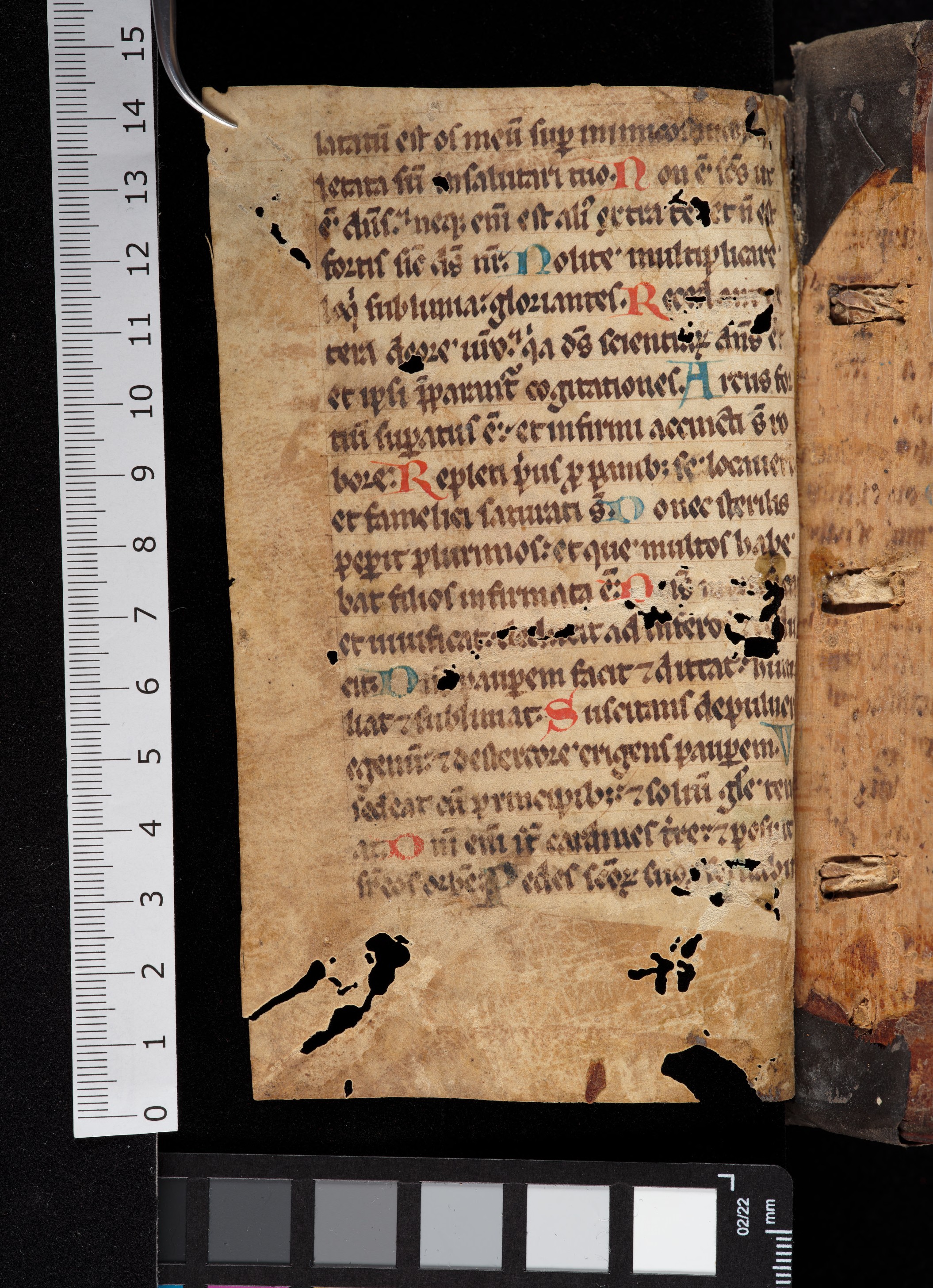 back pastedown dorse