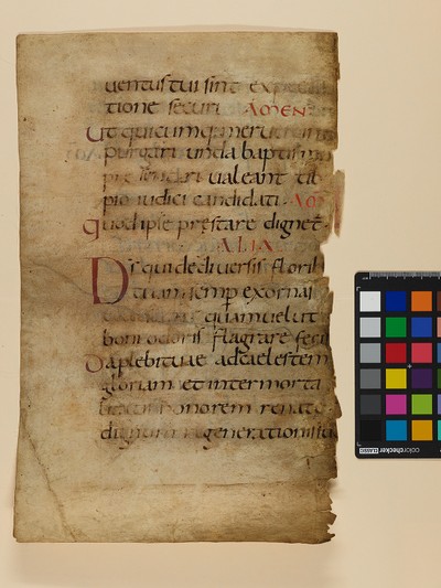 MS3548C_2v