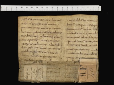 Verso top (MF 40)