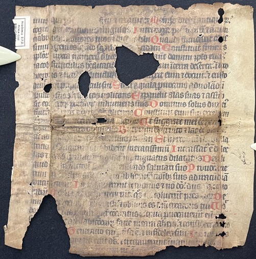 Fragm_Cod_Lat_35_recto