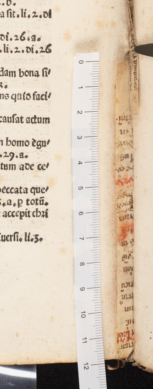 Brachetta_fascicolo_35b_F8