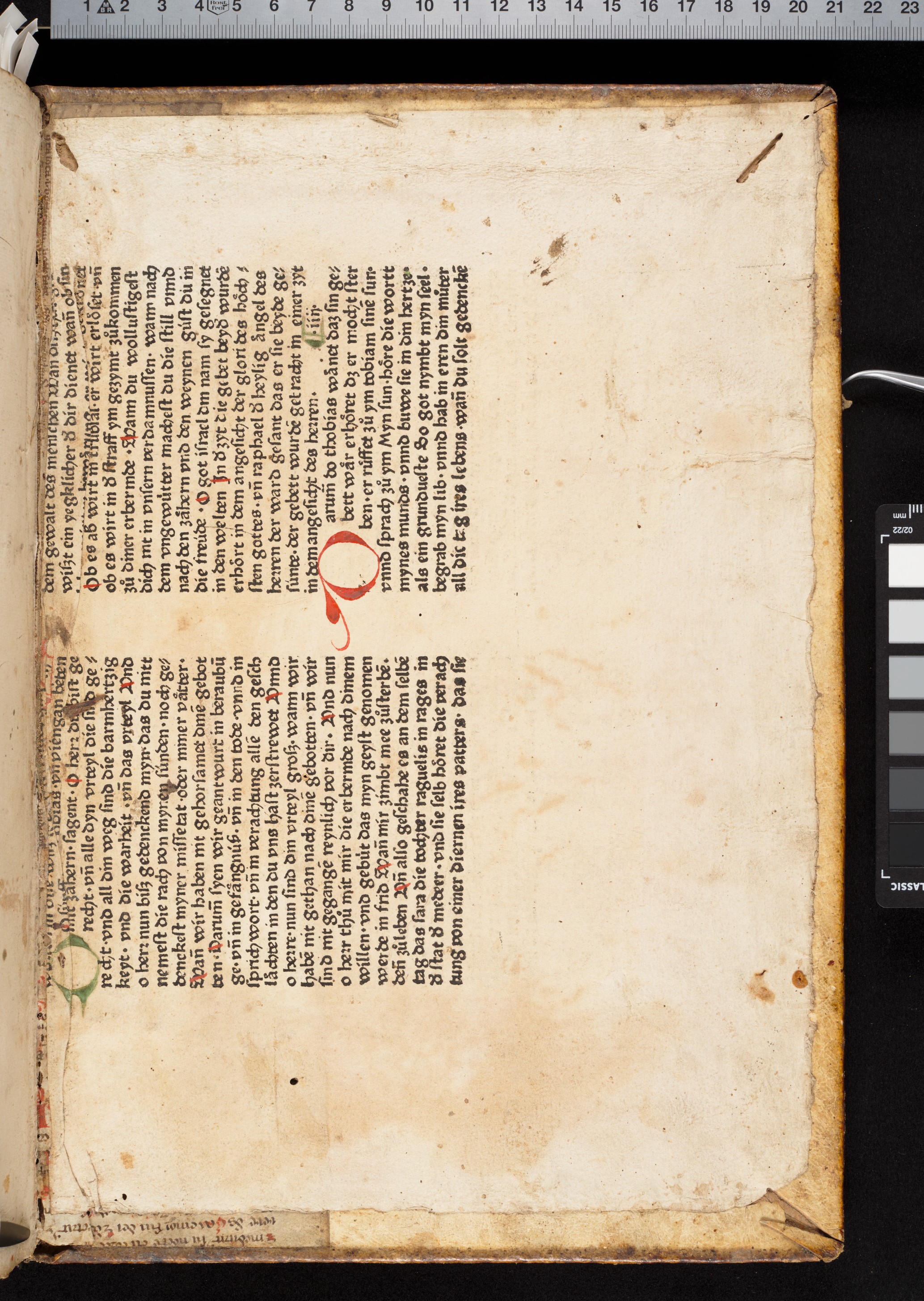 Controguardia_posteriore_F7